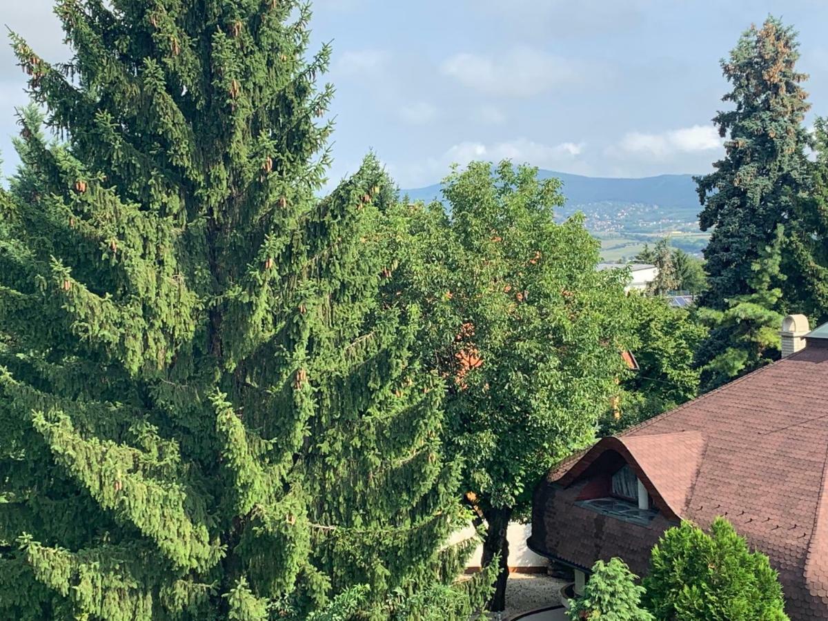 Maharaja Mountain Palace With Free Privat Parking And Garden Budapest Ngoại thất bức ảnh