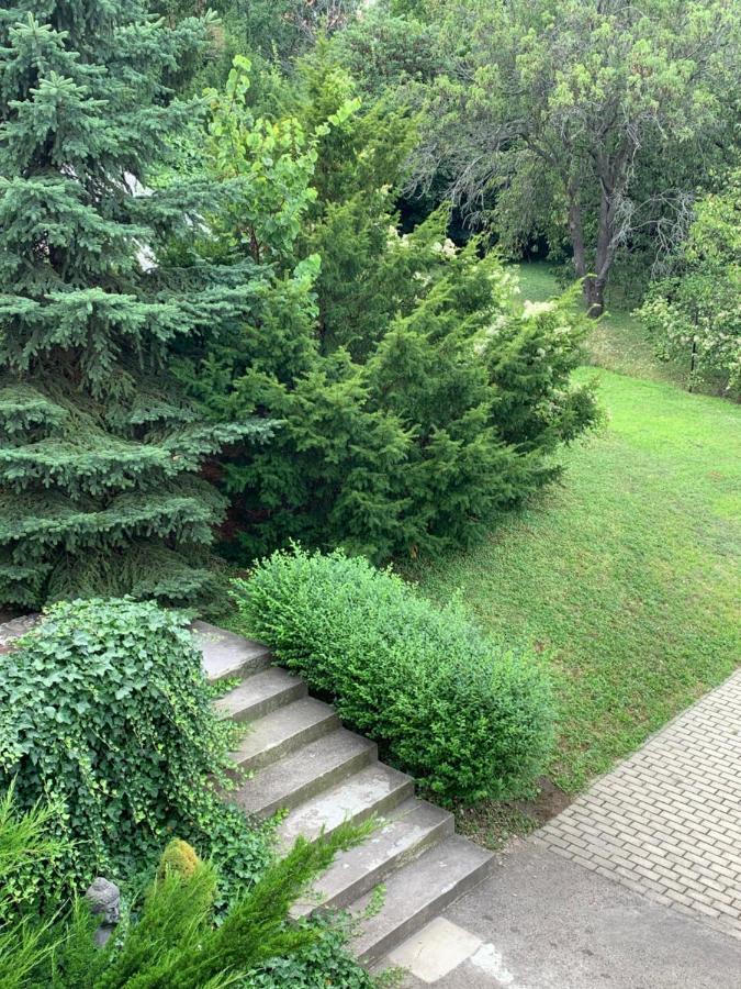 Maharaja Mountain Palace With Free Privat Parking And Garden Budapest Ngoại thất bức ảnh